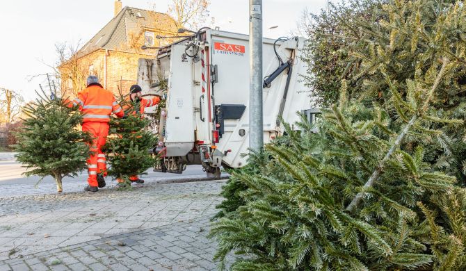 Bitte ausgediente Tannen ohne Lametta und Kugeln nur an den dafür vorgesehenen Stellen ablegen