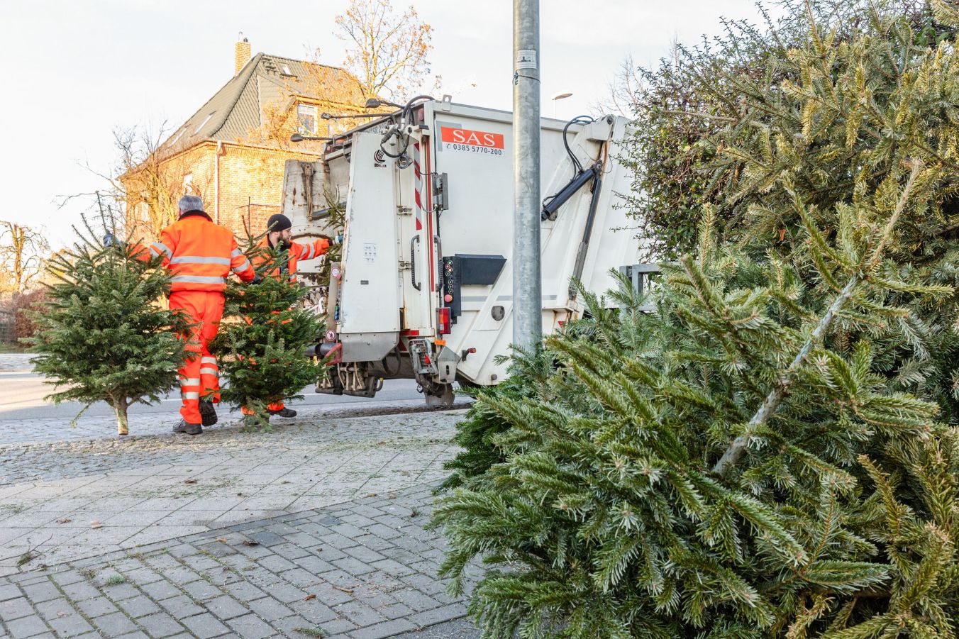 Bitte ausgediente Tannen ohne Lametta und Kugeln nur an den dafür vorgesehenen Stellen ablegen