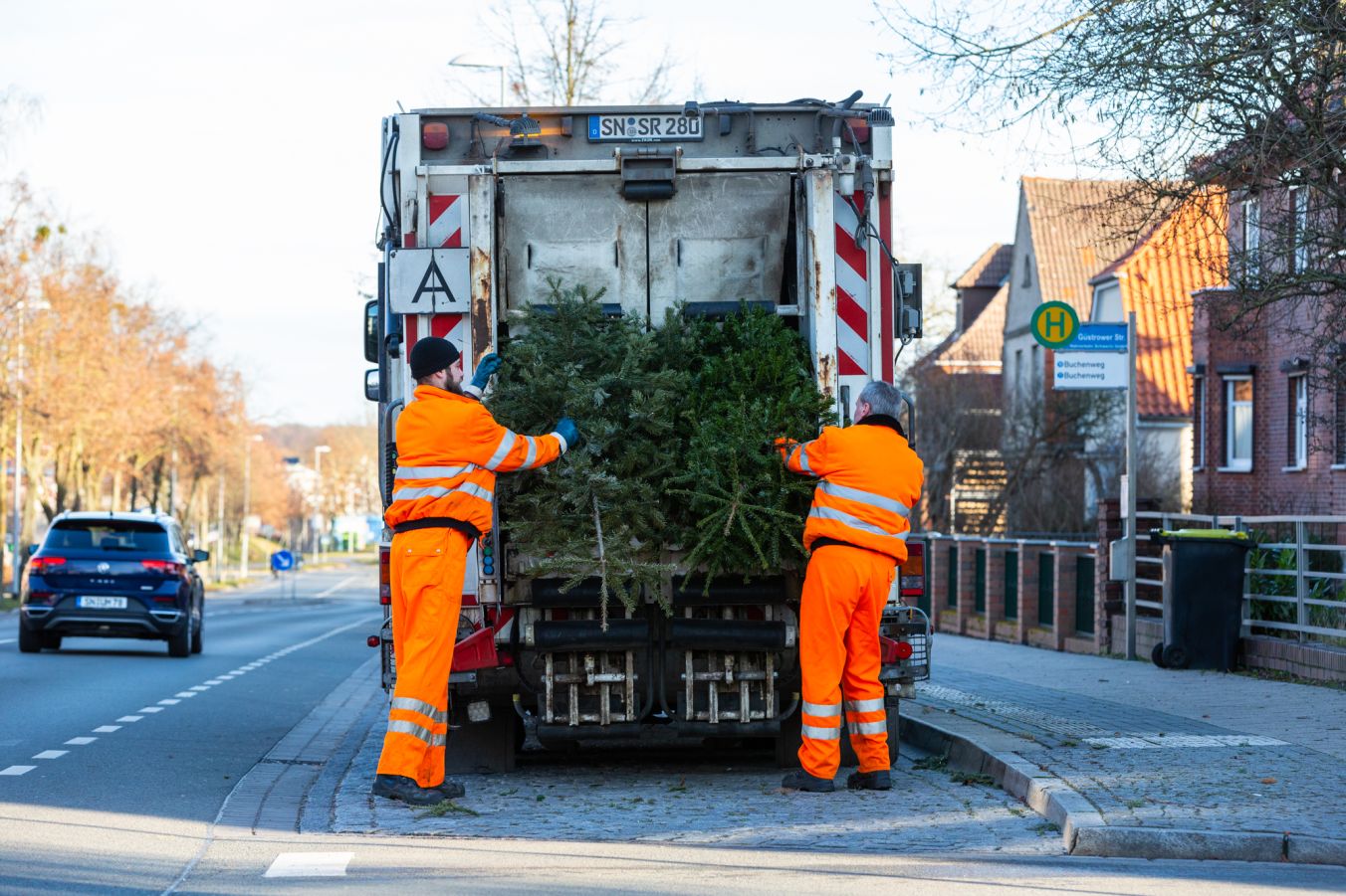 Die SAS-Mitarbeiter holen die ungeschmückten Tannenbäume an den festgelegten Sammelpunkten ab Fotos: maxpress/srk