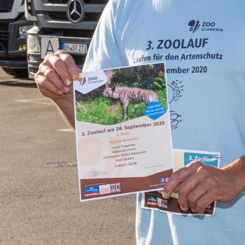 Dritter Platz für die Waste Runners